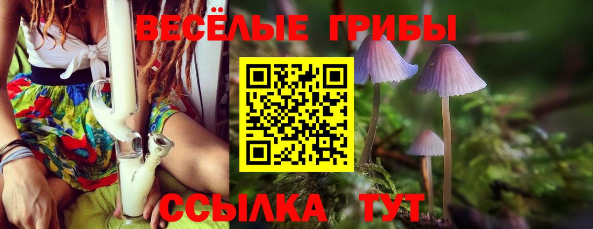 Галлюциногенные грибы GOLDEN TEACHER  Вход с VPN  Ейск  Псилоцибиновые грибы Psilocybe 