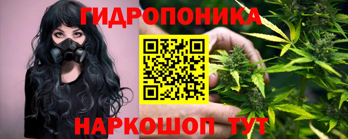 Конопля Ganja Ейск